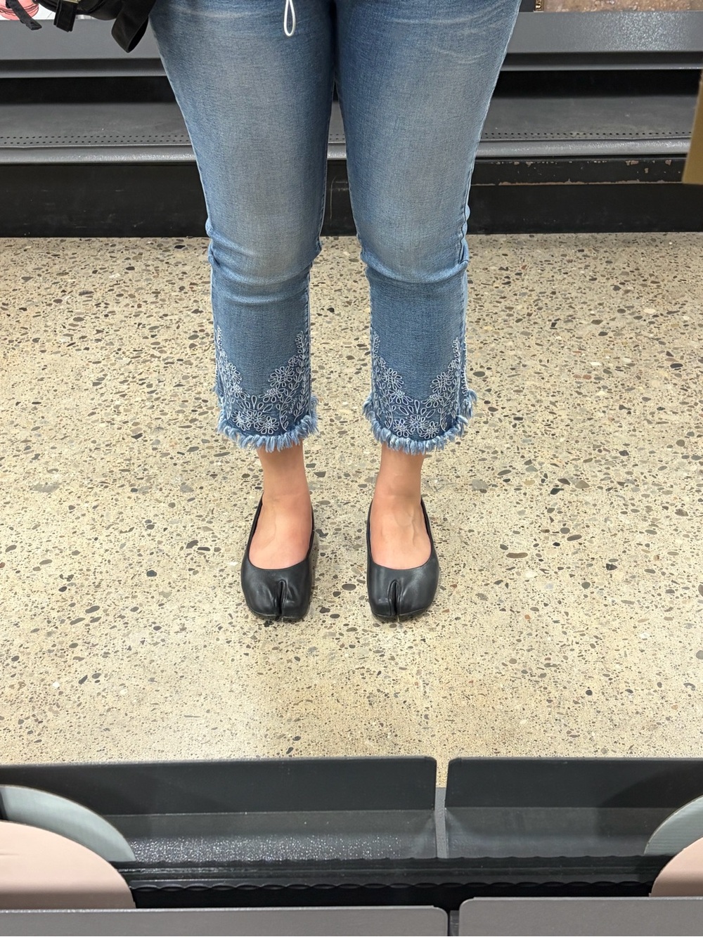 Embroidered Capris